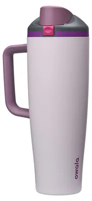 Productafbeelding van Owala FreeSip drinkbeker van roestvrij staal, 1185 ml, design "Dreamy Field"