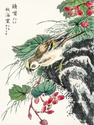 Zdjęcie produktu dla Plakat 30x40cm Hawfinch, Kashu Japoński Vintage do Salonu