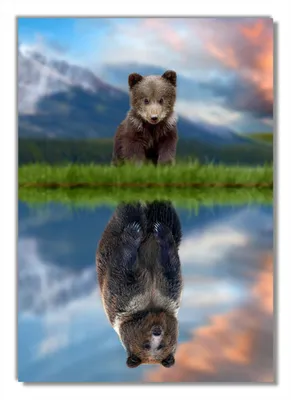 Produktbild von Wallario Poster - Zukunftsaussichten, Kunstdruck Größe: 70 x 100 cm