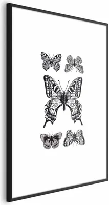 Produktbild von Posterpapier Poster - Five Butterflies 21x30 cm Tiere g-B-0118-ao-a