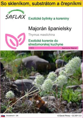 Obrázok produktu pre SAFLAX Kultivačný set - Majorán španielsky - Thymus mastichina - 250 Semená - S mini skleníkom, pestovateľským substrátom a 2 črepníkmi