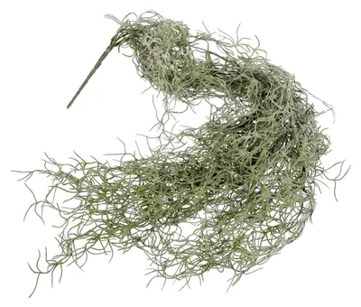 Produktbild von Künstliches Moos für Dekoration – Hängendes Deko-Moos für DIY-Garten, Terrarien und Märchengärten