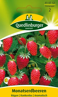 Produktbild von Monatserdbeere, Rügen