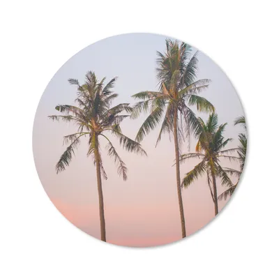 Produktbild von MuchoWow® Mauspad Mousepad Tropisch - Palmen - Sonnenuntergang 30x30 cm - Mousepads - Maus Mat - Pad - Mausunterlage - Tischunterlage - Schreibtischmatten