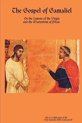 Produktbild von Das Evangelium des Gamaliel