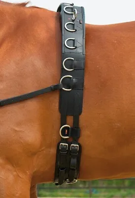 Produktbild von Busse Longiergurt PROFESSIONAL-LEDER, Größe:Warmblut, Farbe:schwarz