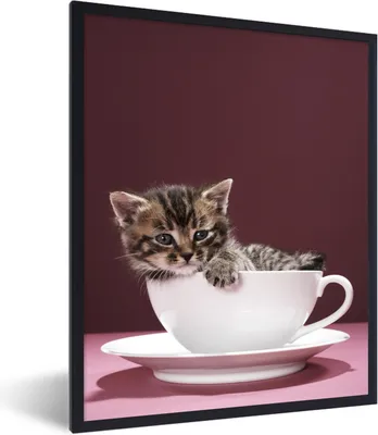 Produktbild von MuchoWow® Gerahmtes Poster Ein Kätzchen in einer Tasse mit Untertasse 60x80 cm - Poster mit Schwarzem Bilderrahmen Wandposter Rahmen Foto Bilder - Premium - Wanddeko Wohnzimmer