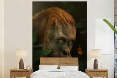 Produktbild von MuchoWow® Fototapete für Wohnzimmer oder Schlafzimmer Wandtapete Vinyl Motivtapete Dschungel - Affe - Schmetterling - 195x300 cm - Das Hintergrundbild