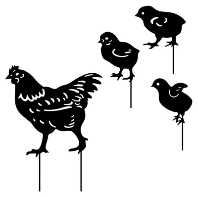 Imagen del producto de Juego de 4 gallinas decorativas de metal para el jardín