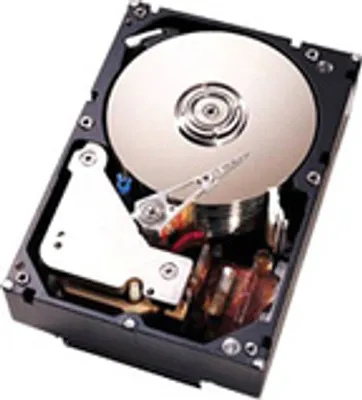 Produktbild von IBM 81Y9790, 1 TB, 7200 RPM, 3.5", Serial ATA III