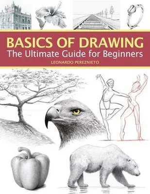 Image de Basics of Drawing