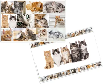 Produktbild von Schreibunterlage 55x35cm Katzen Packung mit 3 Stück