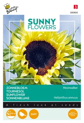 Produktbild von Buzzy Sunny Flowers Sonnenblume Moonwalker Samen - Ca. 2.5 gr | Buzzy_080808