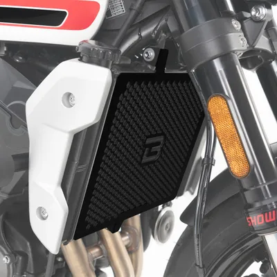 Produktbild von Kühlerschutz Triumph Trident 660 2021- Trident 660 L101 EURO5