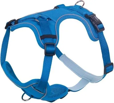 Immagine prodotto di Cinturino comfort azzurro, taglia S-M, circonferenza torace 30-45 cm, larghezza 20 mm