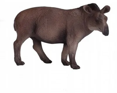 Zdjęcie produktu dla Mojo Fun Brazilian Tapir, 3 lat(a), Wildlife, Brązowy, Biały, Szary, Polichlorek winylu (PVC)