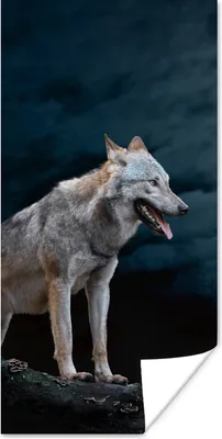 Produktbild von MuchoWow® Poster Wolf - Mond - Nacht - Tiere - Porträt 60x120 cm - Wandschmuck