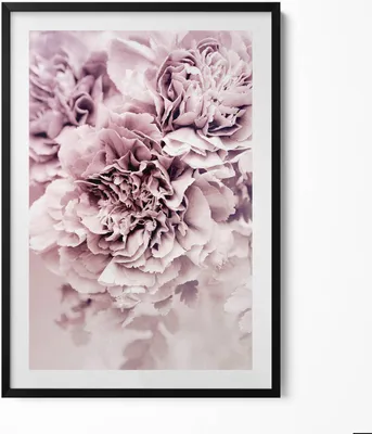 Produktbild von Blassrosa Pfingstrosenblüten– Wandbild mit Rahmen – Gerahmtes Bild  – Wanddekoration – 70x100 cm –  Schwarz Rahmen