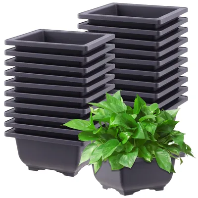 Zdjęcie produktu dla Omgoods - Zestaw 20 doniczek do bonsai, wymiar 12x12x6 cm, do użytku wewnątrz i na zewnątrz