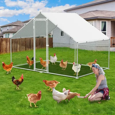 Produktbild von Hühnerstall XL – Hühnergehege – Geflügelhaus – Tierstall – Gartenhaus – Über 3 x 2 x 2 Meter