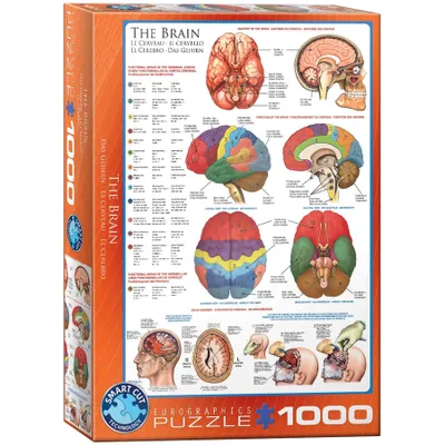 Obrázek produktu pro EUROGRAPHICS Puzzle Brain 1000 dílků