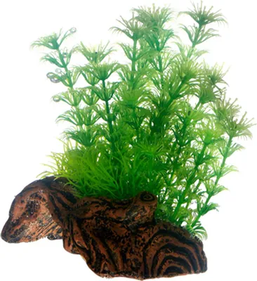 Zdjęcie produktu dla Hobby Flora Root 3 - S, 17 cm - Plastikowa roślina do akwarium