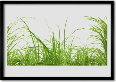 Produktbild von Bild 100x70 MDF-Rahmen Wandkunst Gras Natur Pflanze