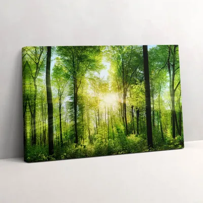 Produktbild von Natur Wald Bäume – Leinwandbild Wandbild – 30x20 cm – Leinwandbilder – Wandbilder – Schlafzimmer – Flur