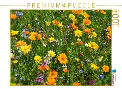 Produktbild von CALVENDO Puzzle Ringelblumenwiese | 1000 Teile Lege-Größe 64x48cm Foto-Puzzle für glückliche Stunden