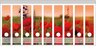 Produktbild von Wallario Ordnerrücken Sticker, selbstklebend für breite Ordner, 9 Stück, Motiv Mohnblumen auf dem Feld