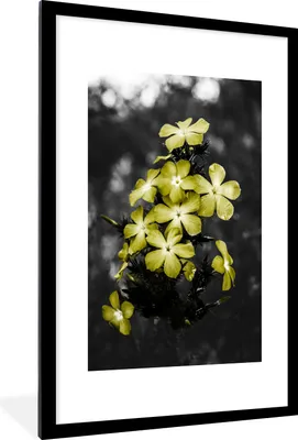 Produktbild von MuchoWow® MuchoWow® Gerahmtes Poster Blumen - Gelb - Farben 60x90 cm - Poster mit zchwarzem Bilderrahmen - Dekoration - Wandposter Wohnzimmer - Hochwertig