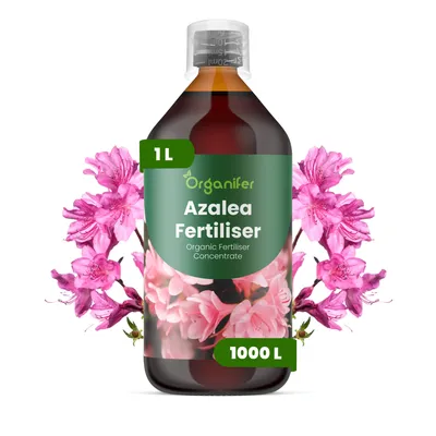 Obrázok produktu pre Azalka, tekuté hnojivo, 1 L – vzťah živín NPK: 3-4-3 – pre kvitnúce rastliny – pre bohaté kvitnutie a silné korene – podporuje vitalitu a zdravé listy – organické