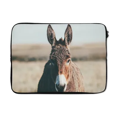 Produktbild von MuchoWow® Laptop Hülle 14 ZollEsel - Porträt - Tier Laptoptasche - Laptoptasche - Stoßsicher - Schutzhaube