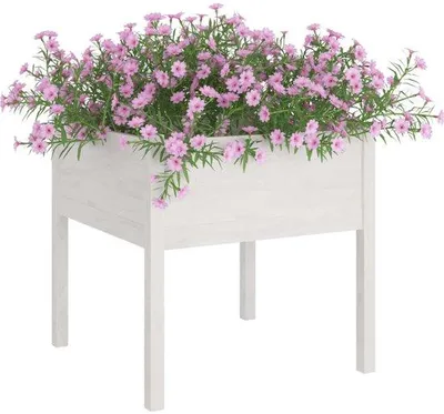 Image de Pot de jardin - Blanc - Chêne massif - 70 x 70 x 70 cm