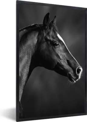 Produktbild von MuchoWow® Gerahmtes Poster Pferd - Tiere - Schwarz - Weiß - Porträt 60x90 cm - Poster mit Schwarzem Bilderrahmen Wandposter Rahmen Foto Bilder - Kunst
