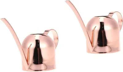 Produktbild von Famanu Gießkanne - Stilvolles Design aus Edelstahl - 26x11x12 cm - Roségold