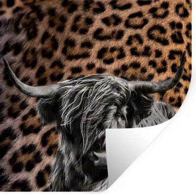 Produktbild von MuchoWow® Wandtattoo Wandsticker Wandaufkleber Schottischer Highlander - Kuh - Pantherdruck 30x30 cm Selbstklebend und Repositionierbar - Repositionierbar - Wasser abweisend