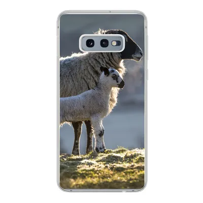 Produktbild von MuchoWow® Handyhülle Schutzhülle Hülle für Samsung Galaxy S10e Schaf - Lamm - Sonne Silikon Softcase Handy Hülle - Handy