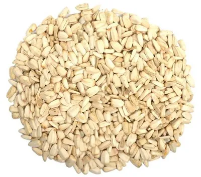 Productafbeelding van Wielink Witte zonnebloempitten 12,5KG