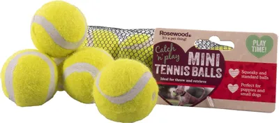 Produktbild von Mini-Tennisbälle für Hunde – Set mit 5 Stück – 3 mit Quietschfunktion und 2 ohne – mit Netztasche