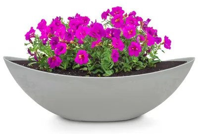 Produktbild von Große ovale Pflanzschale Jardiniere 55 cm in Stein-Optik hell-grau
