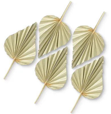 Produktbild von Deko Palmspeere Naturdeko Bastelmaterial Gestecke natur 5er Set 11-13 cm