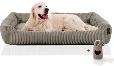 Produktbild von Rohrschneider Hundesofa große Hunde | Cord Hundebett groß | dog bed xxl |Hundebett erhöht | Pflegeleichtes Hundebett mit Hundekissen 120x80 cm| Hundekörbchen kuschelig | Geschenke Hundeliebhaber, Farbe:taupe