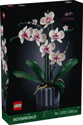 Produktbild von LEGO 10311 Icons Orchidee Set zum Basteln von künstlichen Pflanzen