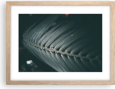 Produktbild von Gerahmtes Poster - Rahmen in heller Eiche - Blatt Palme exotisch - 40x30 cm - Wand Bild - Wanddeko - Wandbilder - Kunstposter - Wandposter - Bilderrahmen - Bilder - Kunstdruck - P2NAA40x30-4907