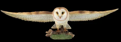 Produktbild von XXL Gartenfigur Eule - Fliegende Schleiereule - HotAnt Gartendeko, Greifvogel - B 79 cm