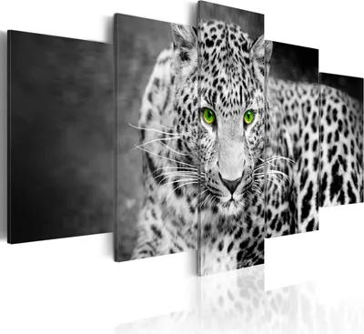Produktbild von Modernes Wandbild g-A-0086-b-p (100x50) - 5 Teilig Bilder Fotografie auf Vlies Leinwand Foto Bild Dekoration Wand Bilder Kunstdruck TIER NATUR WILD LEOPARD