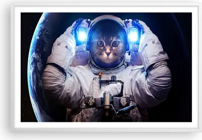 Produktbild von Gerahmtes Poster - Weißer Rahmen - Kosmonaut Katze - 91,5x61 cm - Wand Bild - Wanddeko - Wandbilder - Kunstposter - Wandposter - Bilderrahmen - Bilder - Kunstdruck - Wandbild - P2WAA91x61-3734