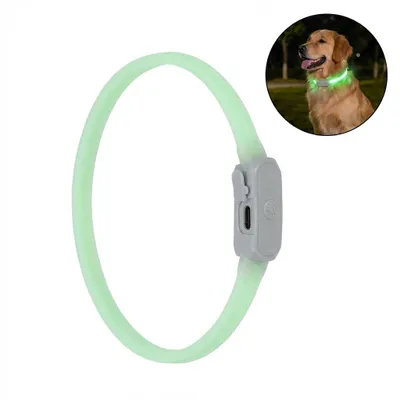 Produktbild von LED Hundehalsband Leuchthalsband aufladbar USB-C Silikon Grün Gr. M Kürzbar