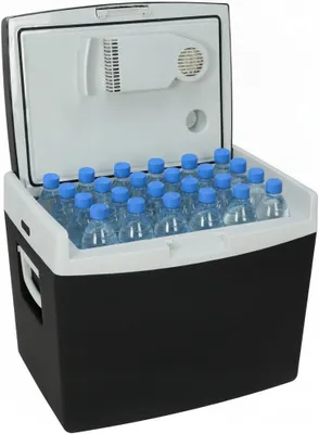 Imagen del producto de Nevera eléctrica, 40 litros, color , para llevar